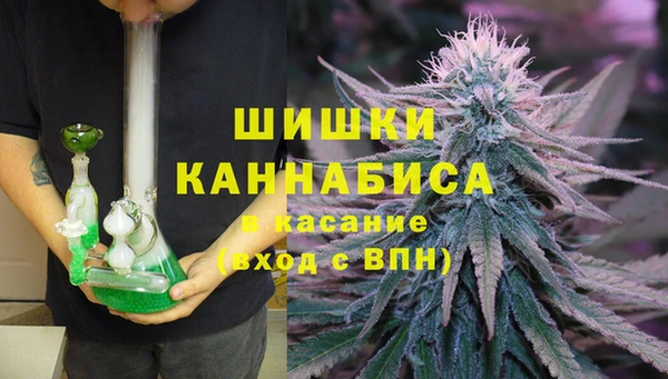 амф Алексин