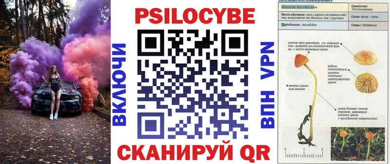 kraken Калининград Псилоцибиновые грибы Magic Shrooms